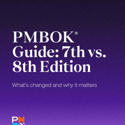 pmbok 8